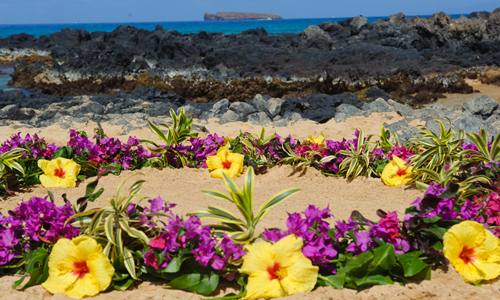 Maui Wedding Add ons Flower Circle
